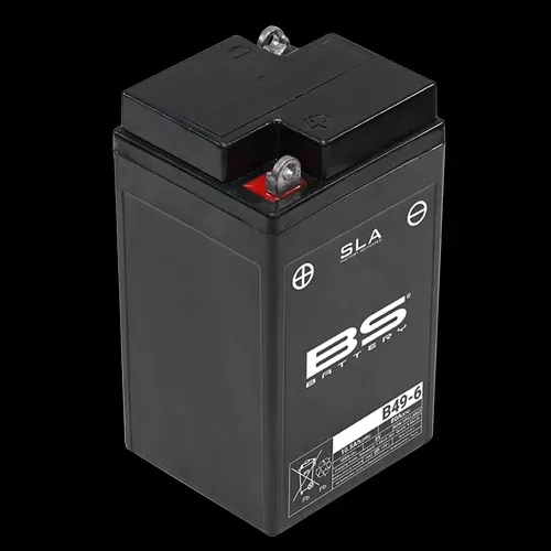 6 Volt Battery BS B49-6