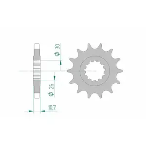 AfamSprocket for motorcycle 530