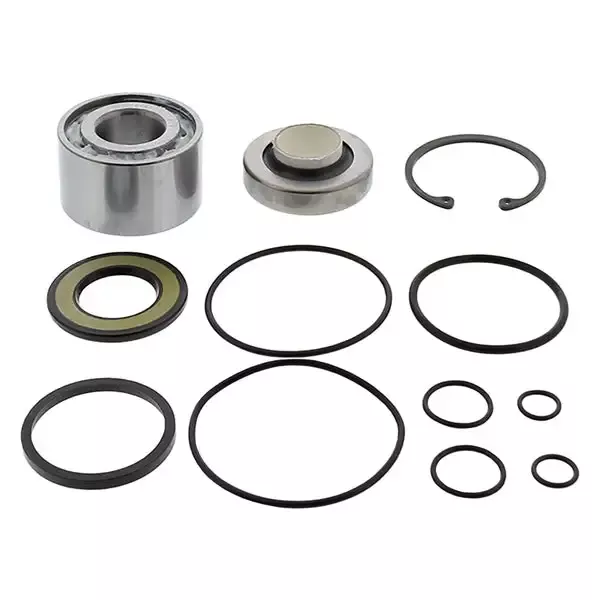 All Balls Racing - Jet Pump Rebuild Kit (14-3025)