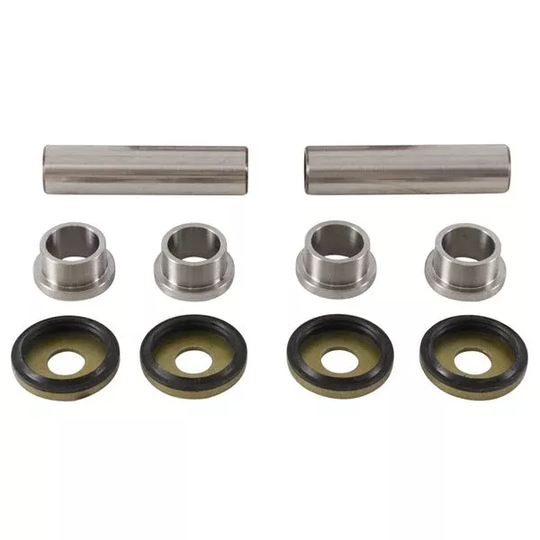 All Balls Racing - Rear Independent Suspension Knuckle Kit (50-1173-K)