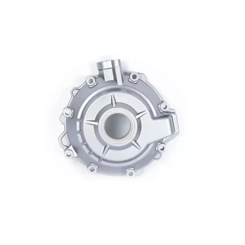 BMW Motorrad OEM M1000RR Silver Alternator Case Cover