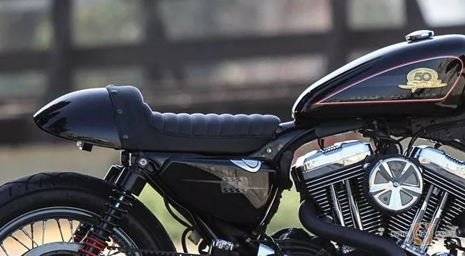 Cafe Racer Tail Section, Partial Cover For Harley-Davidson