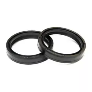 CentauroMotorcycle fork seals NOK RSD
