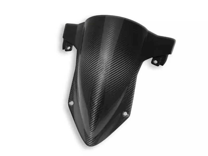 CRB112L – BMW S1000RR GLOSSY CARBON WIND SCREEN