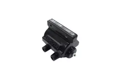 Dyna 12 Volt 5 Ohm Stock Dual Fire Coil
