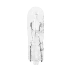 FlosserBox of 10 ampoules Culot W2x4,6d
