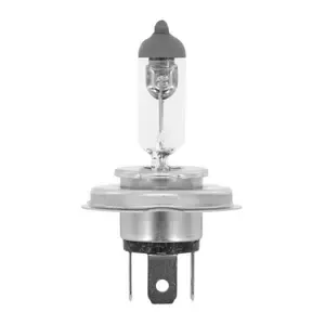 FlosserBulb Hs1 Culot Px43t
