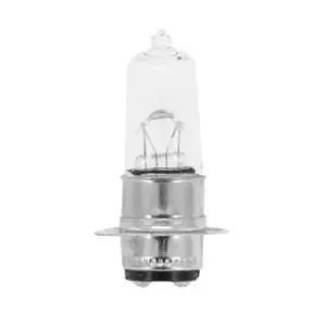 FlosserStandard bulb P15d-25-1 M5