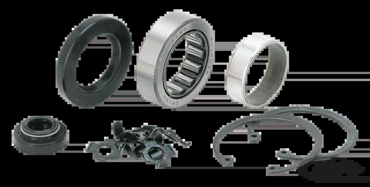 GZP Seal, Bearing, Bushing and Lock Tab For Harley-Davidson