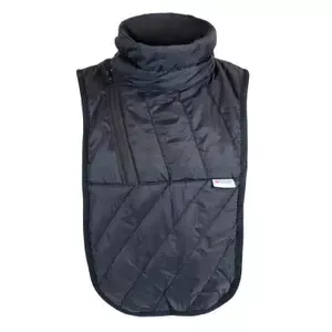 HarissonMotorcycle breastplate
