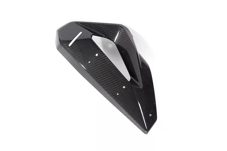 Ilmberger - Cover on Radiator Fairing + Winglet Mount for M 1000 XR