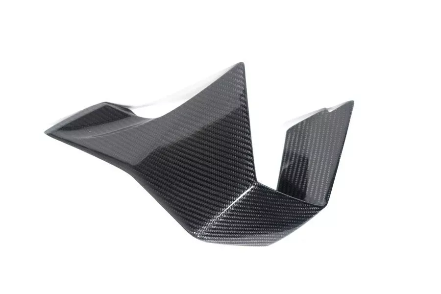 Ilmberger - Faring Side Winglet for M 1000 RR M 1000 RR