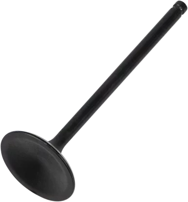 KIBBLEWHITE Intake Valve 30-3116