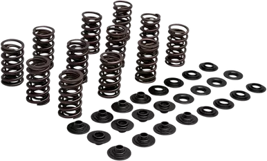 KIBBLEWHITE Spring Kit - Steel 80-81700
