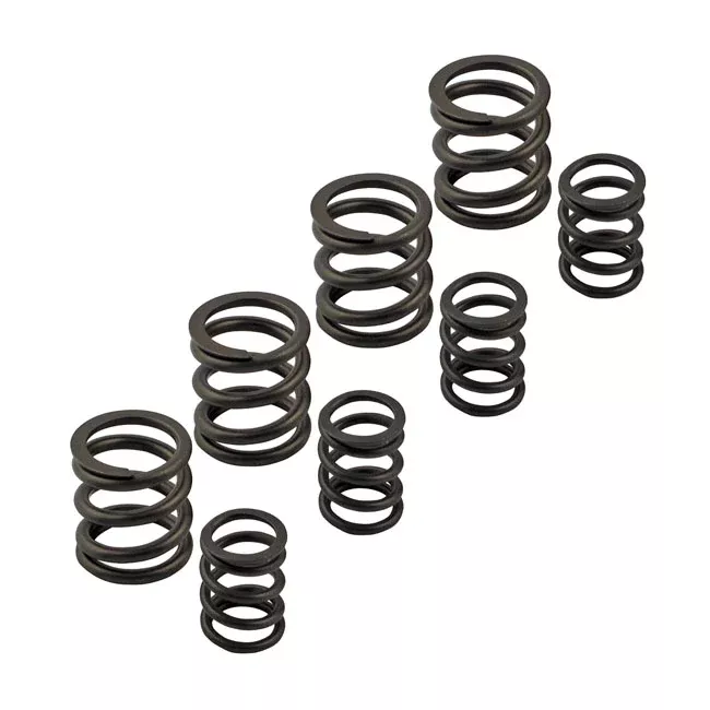 Kpmi Sportster Valve Spring Set For Harley-Davidson