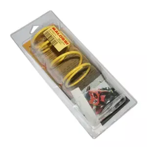 MalossiMaxiscooter variator spring Honda 125 Pcx 2011