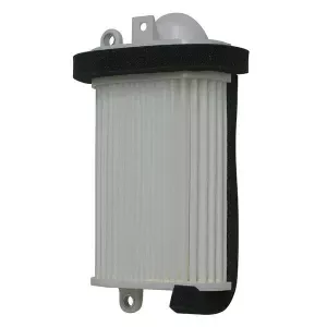 MeiwaScooter air filter Sx T-max 530 (12) Y4209