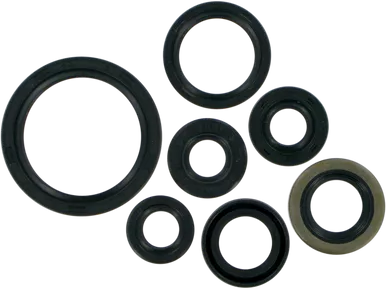 MOOSE RACING Motor Seals - KLX/DRZ400 822193