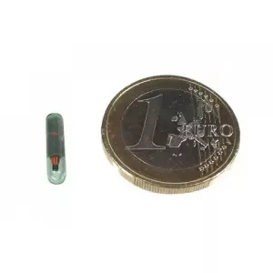 MotogadgetGlass Tube Key Mo.lock