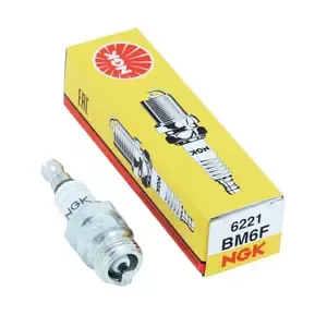 NGKMotorcycle spark plug Bm6F (6221)