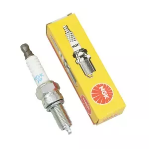 NGKOsram motorcycle bulb Mr8f