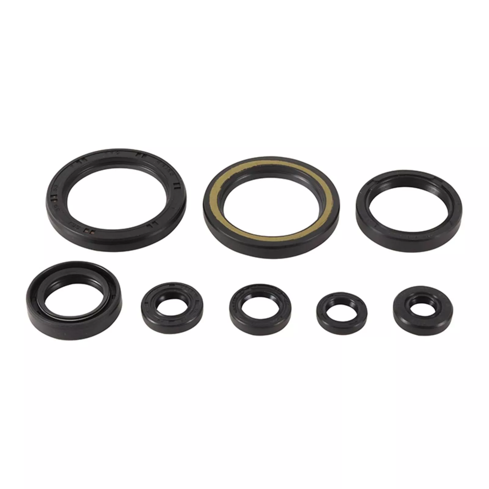 Oil Seal Kit 822378