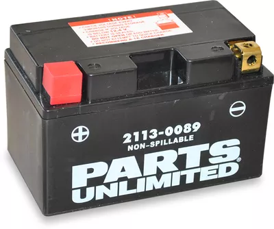 PARTS UNLIMITED AGM Battery - YTZ10S
