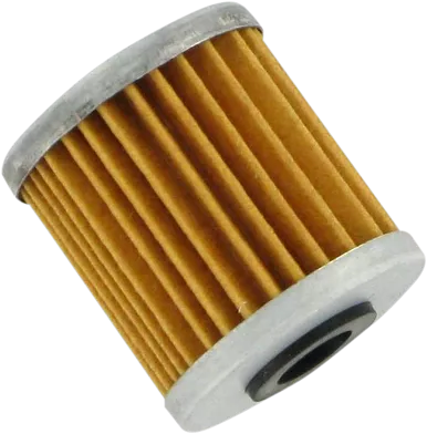 PARTS UNLIMITED Oil Filter 52010-0001