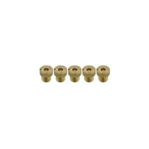 PoliniBag of 5 main sprinklers PHBG-PHVA 110