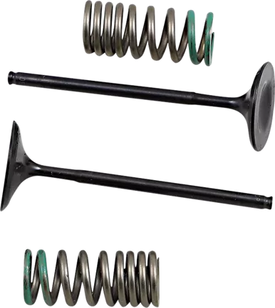 PROX Intake Valve and Spring Kit 28.SIS1340-2