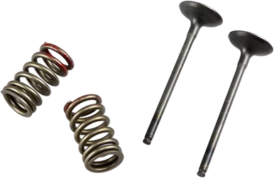 PROX Valve and Spring Kit 28.SES4335-1