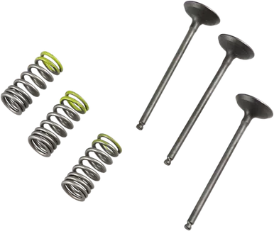 PROX Valve and Spring Kit 28.SIS2402-2