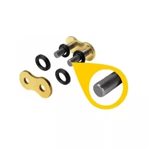 ReginaMotorcycle chain 137hpe 525