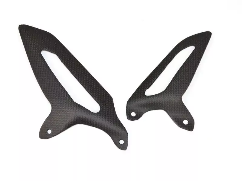 RPPC09 – CARBON GUARDS PANIGALE