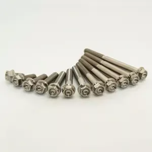 ScarMotorcycle screw kit M6x45 (x2)