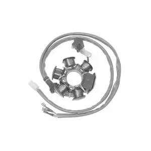 SGRMotor stator ignition Sfera-Zip-Nrg-Typhoon