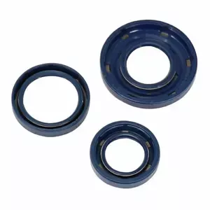 Top PerformancesEngine spinnaker gasket Piaggio 125 Vespa Primavera ET3