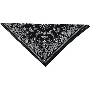 Zan HeadgearCotton bandana paisley